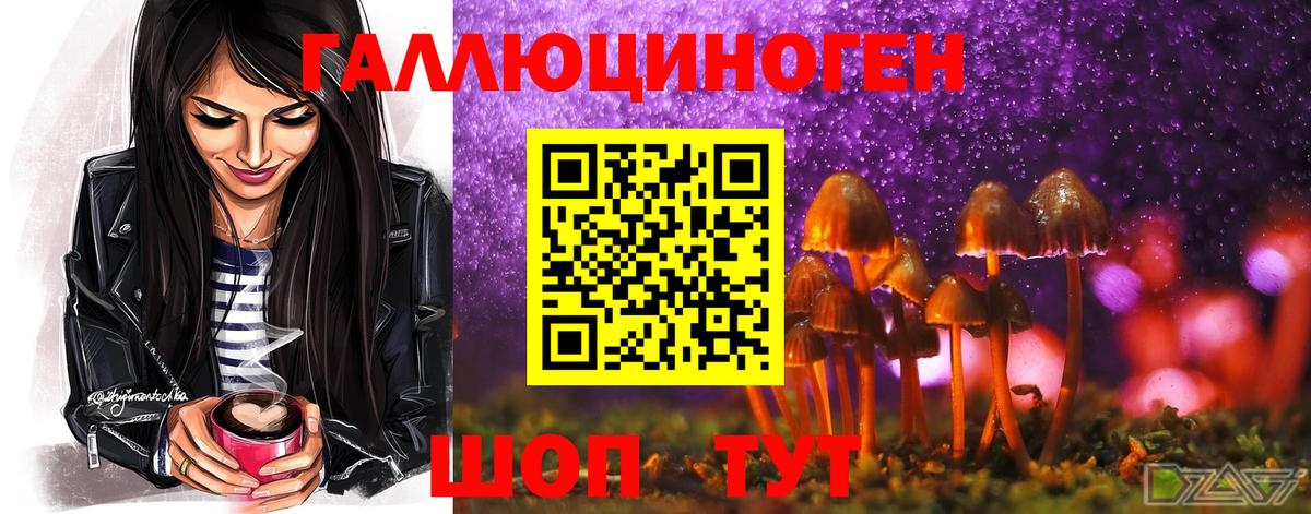 Галлюциногенные грибы Psilocybe Улан-Удэ