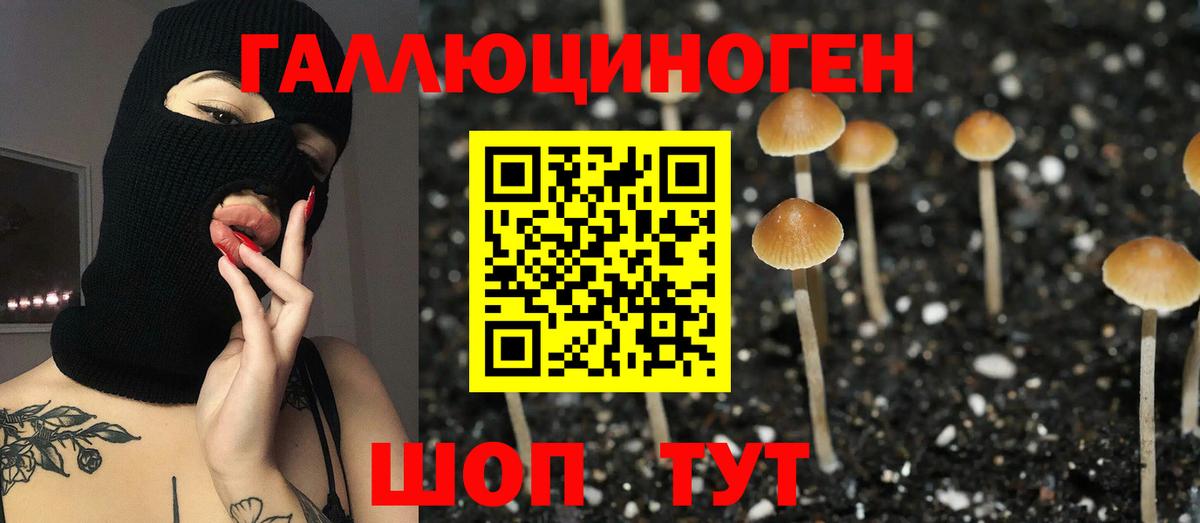 Галлюциногенные грибы MAGIC MUSHROOMS  Псилоцибиновые грибы мицелий  Улан-Удэ  где продают наркотики  Вход с VPN 